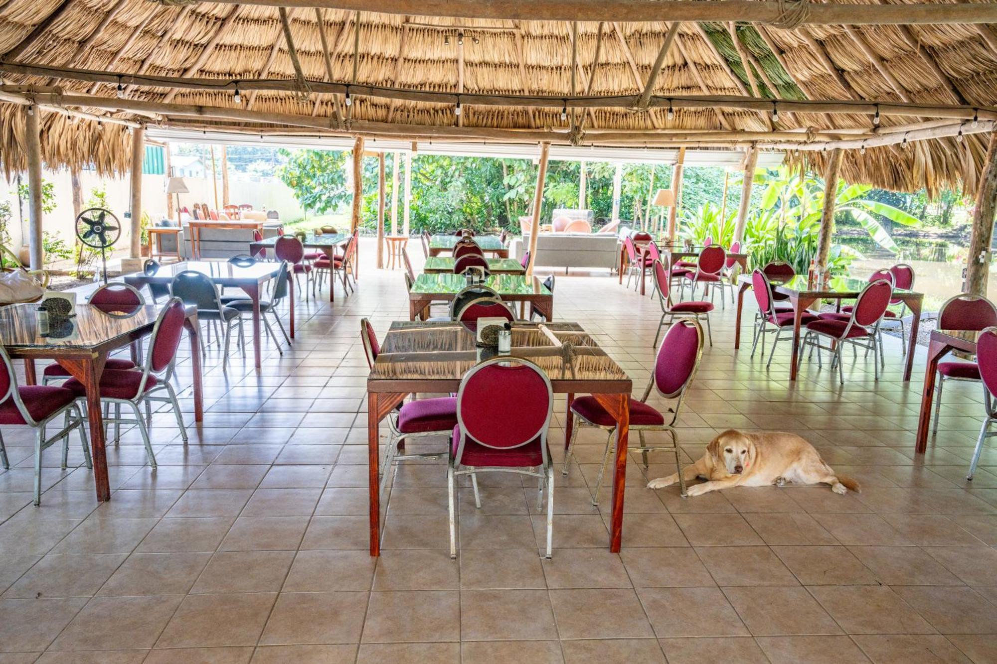 Santa Elena Drift Inn Cayo מראה חיצוני תמונה